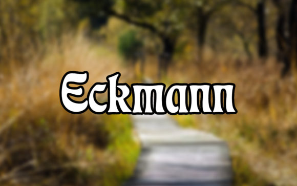 Eckmann Font: A Beautiful Typeface for Makers and Creatives