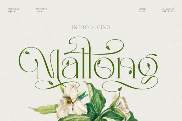 Mallong Font: A Serif Typeface for Editorial Elegance